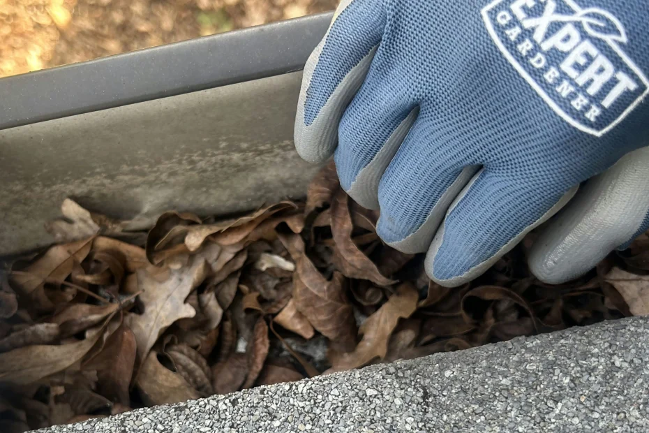 Gutter Cleaning Wilders Grove