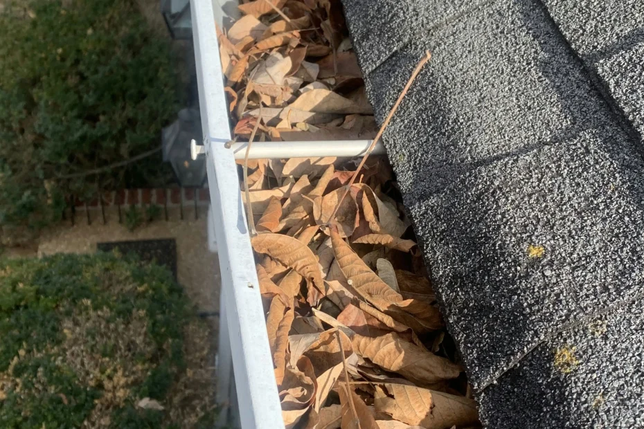 Gutter Cleaning Wilders Grove