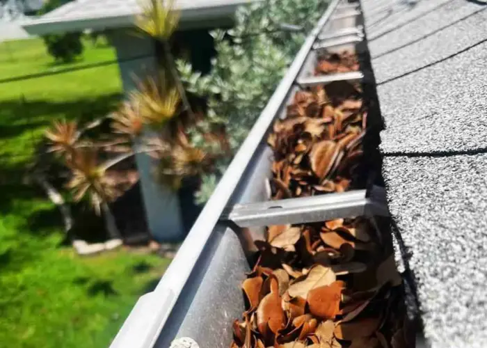 Gutter Cleaning Wilders Grove home page